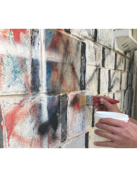 T.P. 11 graffiti cleaner/ καθαριστικό graffiti