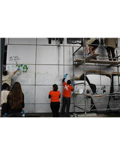 gentle graffiti cleaning spray/ ήπιο spray καθαρισμού graffiti 2