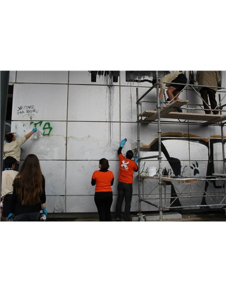gentle graffiti cleaning spray/ ήπιο spray καθαρισμού graffiti